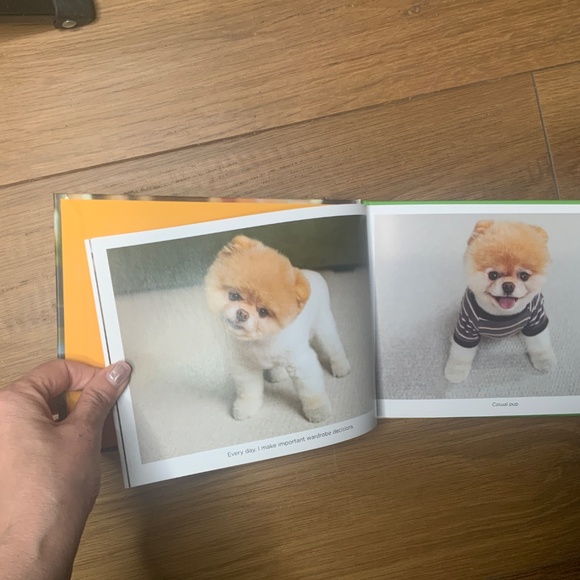 Boo The Life of the World’s Cutest Dog Book - Picture 3 of 3